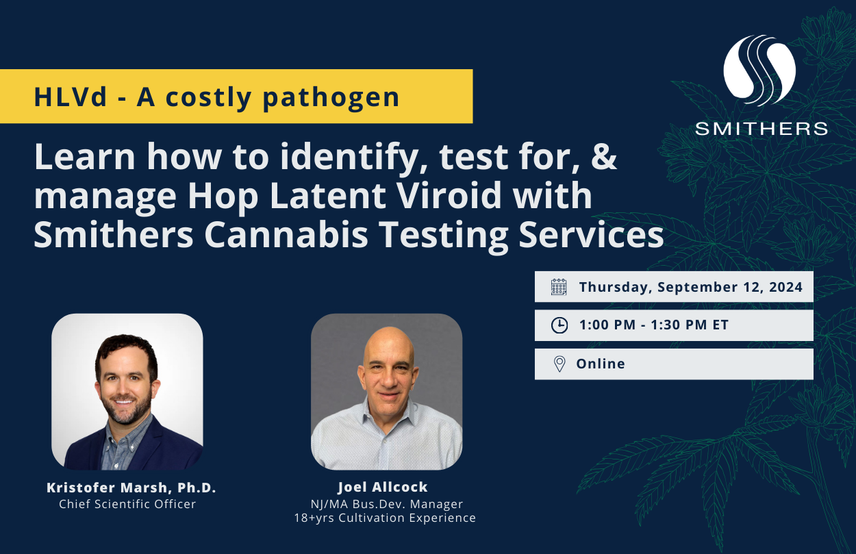 Webinar Recap: Hop Latent Viroid - A Costly Pathogen